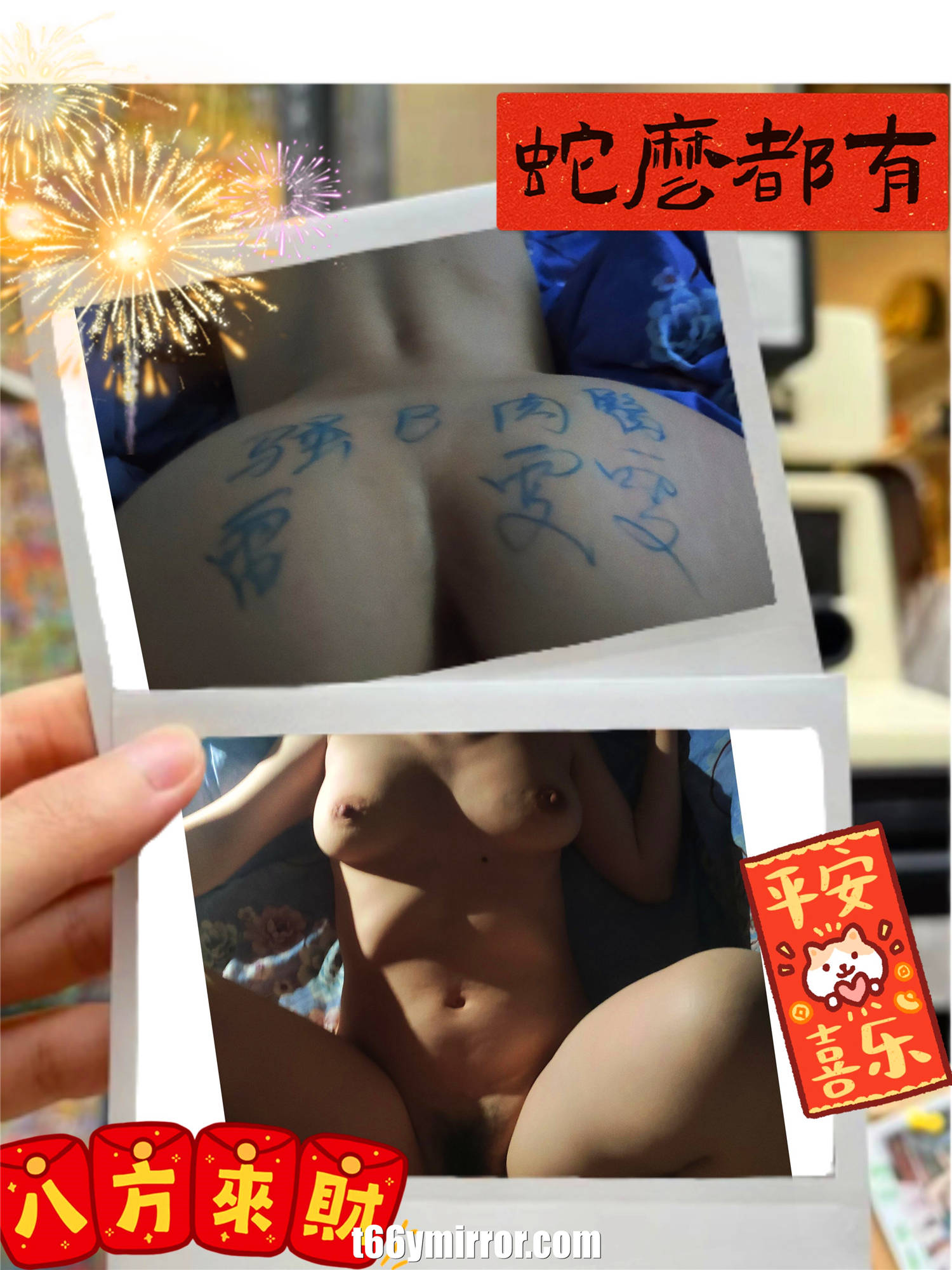 t6ymirror.com (55)