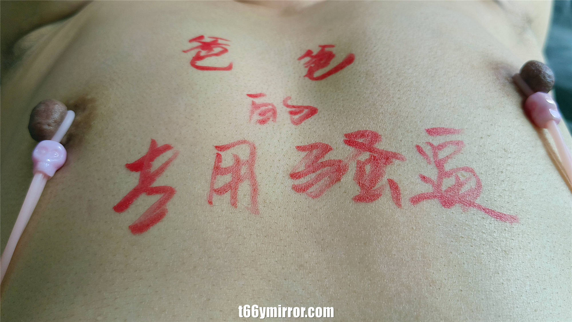T66Y.COM (20)