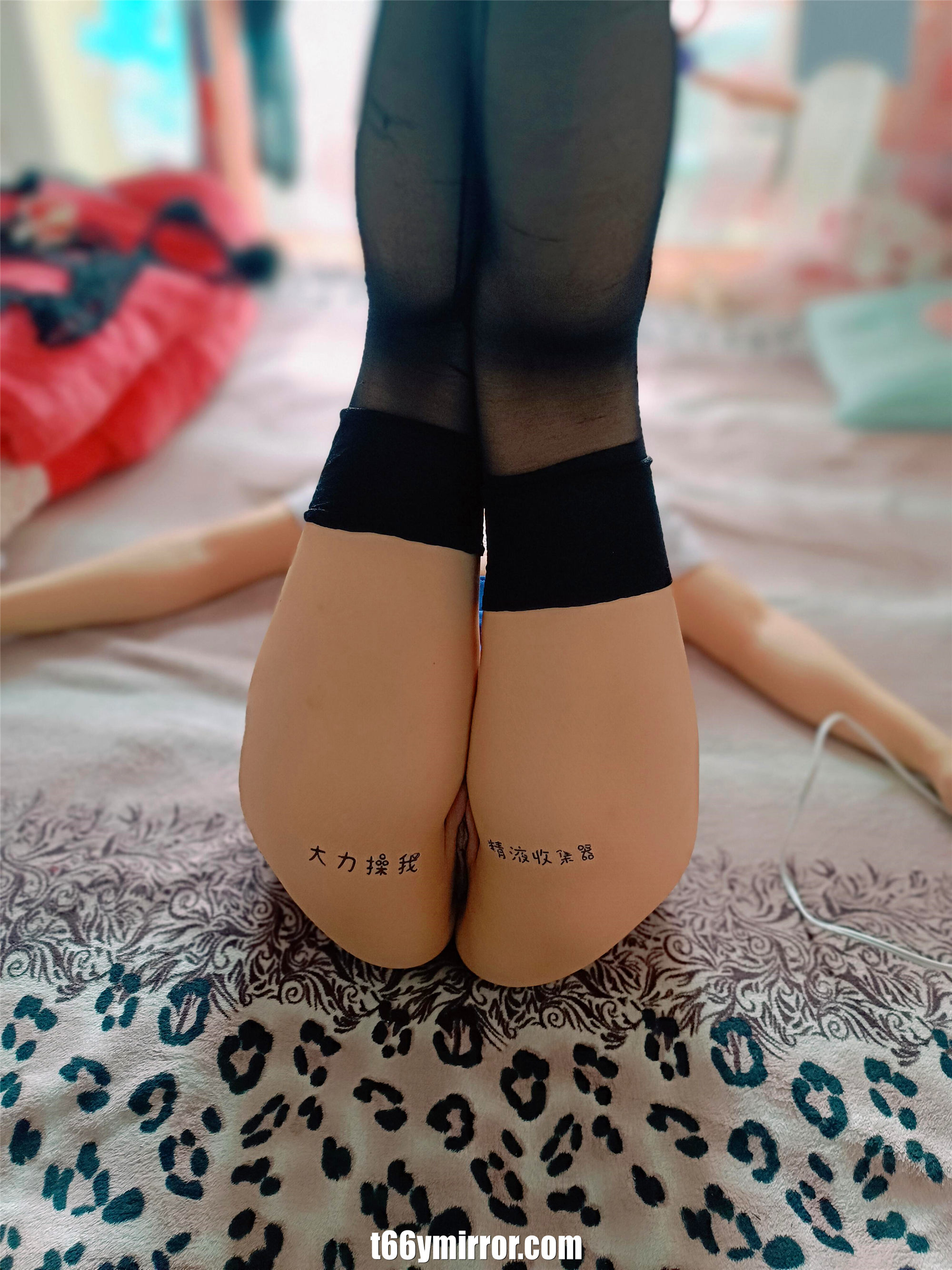 T66Y.COM025