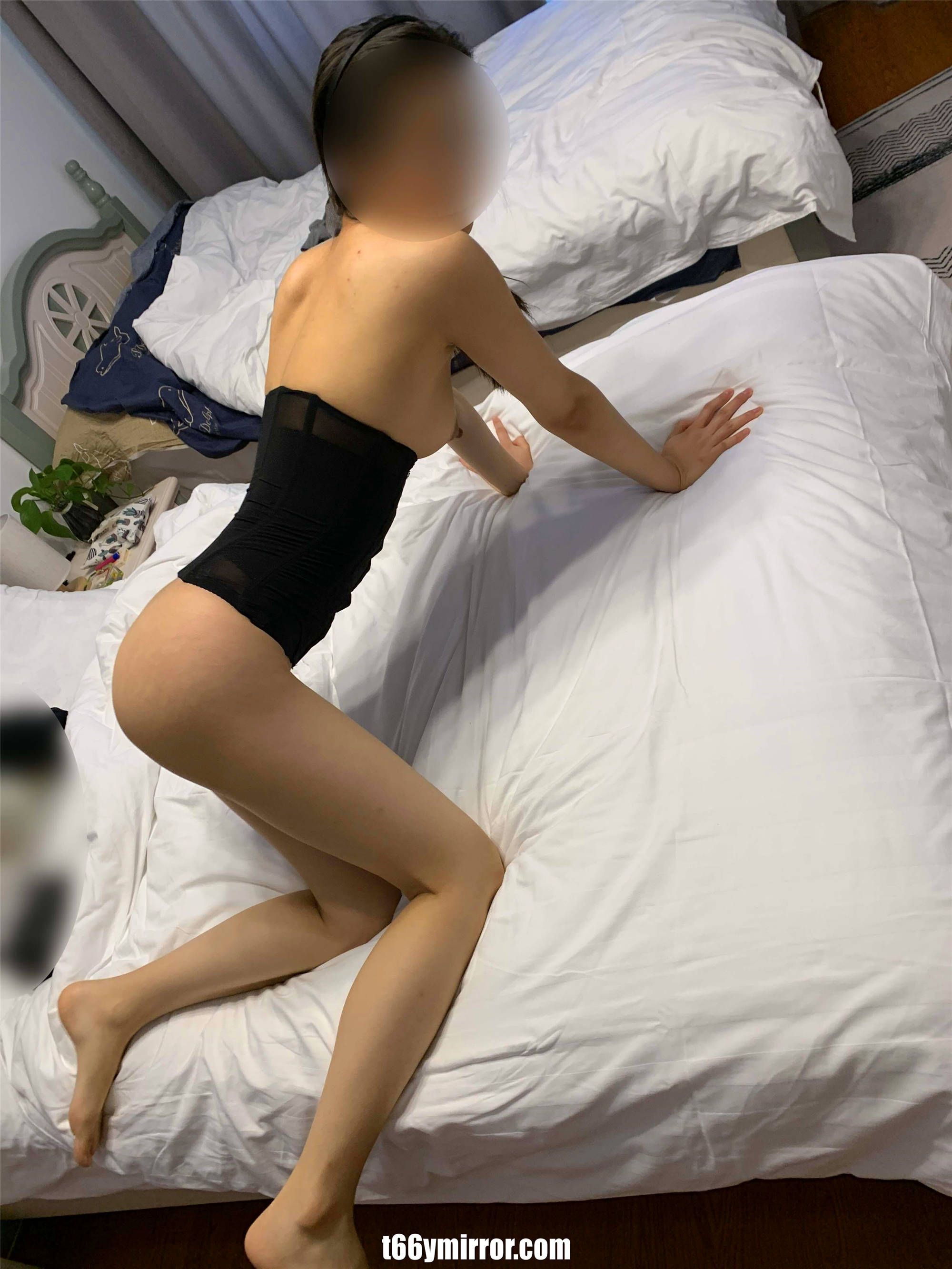 T66Y.COM (16)