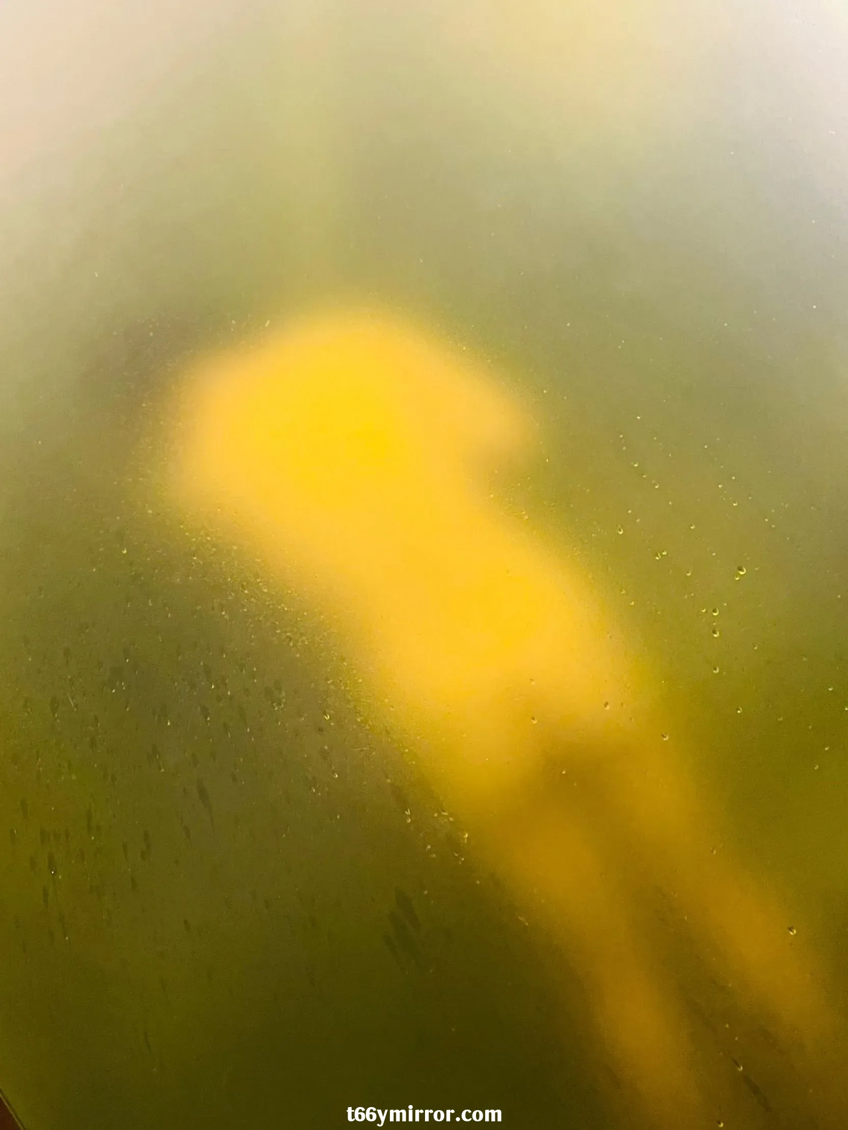 1 (9)
