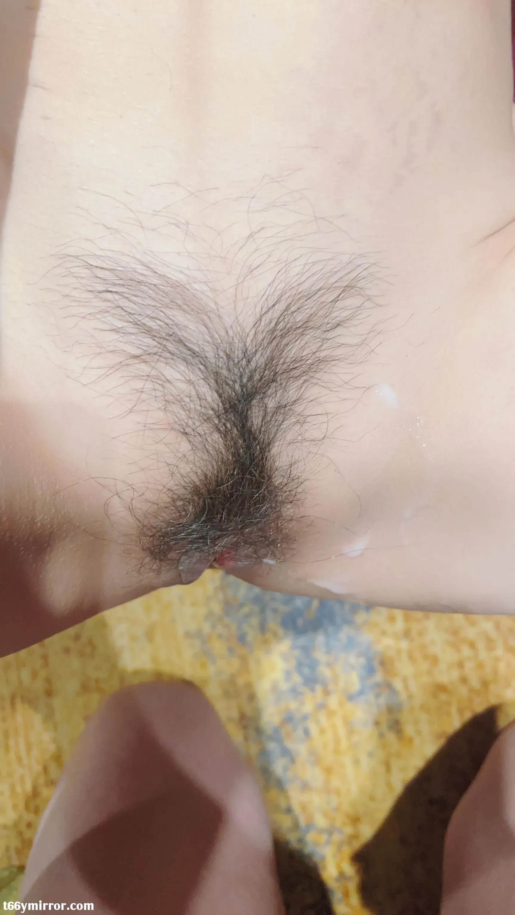1 (24)